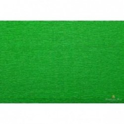 CARTA CRESPA gr180-50x250 VERDEerba 563 [0510290-00.jpg]