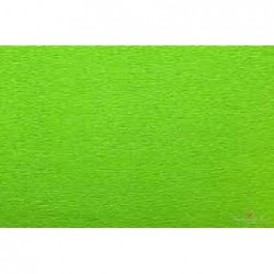 CARTA CRESPA gr180-50x250 VERDE MELA 558 [0510291-00.jpg]