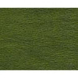 ---CRESPATA gr180-50x250 VERDEbosco-591 [0510293-00.jpg]