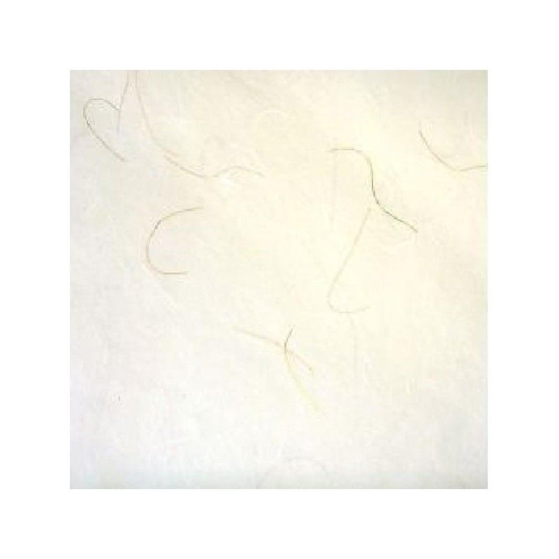 ---CARTARISO 70x100 gr25 NATURA [0511041-00.jpg]