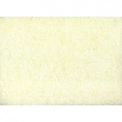 ---CARTARISO 65x95 gr25 AVORIO [0511042-00.jpg]