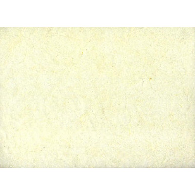 ---CARTARISO 65x95 gr25 AVORIO [0511042-00.jpg]