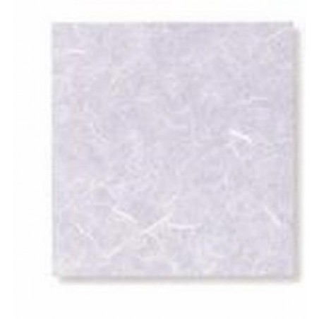 ---CARTARISO 65x95-gr25 LILLA [0511072-00.jpg]