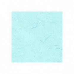 ---CARTARISO 70x100 gr25 CELESTE [0511074-00.jpg]