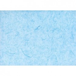 ---CARTARISO 65x95 gr25 ACQUAMARINA [0511076-00.jpg]