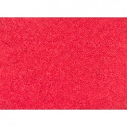 ---CARTARISO 65x95 gr25 ROSSO [0511080-00.jpg]