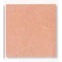 ---CARTARISO 65x95 gr25 SALMONE [0511083-00.jpg]