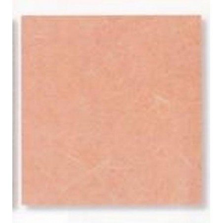 ---CARTARISO 65x95 gr25 SALMONE [0511083-00.jpg]