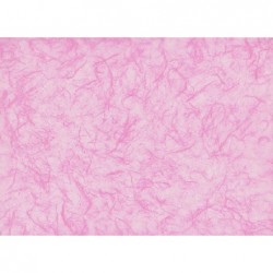 ---CARTARISO 70x100 gr25 ROSA [0511084-00.jpg]