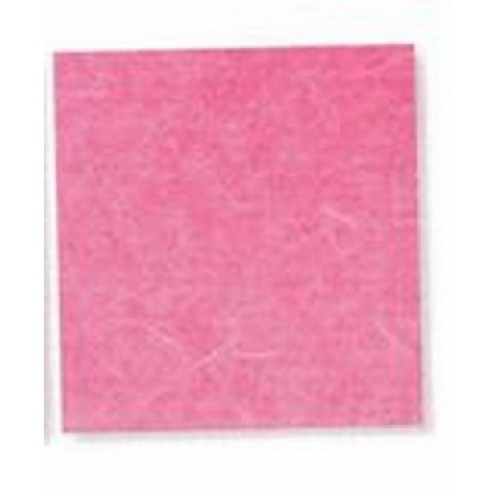 ---CARTARISO 65x95 gr25 FUXIA [0511086-00.jpg]