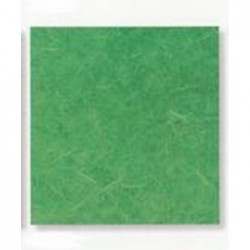 ---CARTARISO 65x95 gr25 VERDESCURO [0511090-00.jpg]