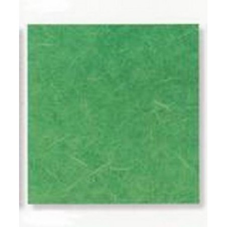 ---CARTARISO 65x95 gr25 VERDESCURO [0511090-00.jpg]