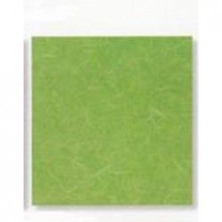 ---CARTARISO 65x95 gr25 VERDEMELA [0511091-00.jpg]