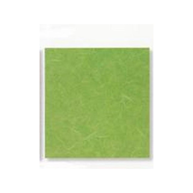 ---CARTARISO 65x95 gr25 VERDEMELA [0511091-00.jpg]