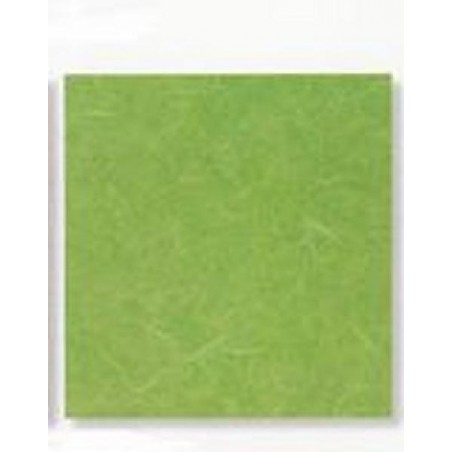 ---CARTARISO 65x95 gr25 VERDEMELA [0511091-00.jpg]