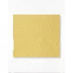 ---CARTA AVOHA 55X80 gr50 PAGLIERINO [0511251-00.jpg]