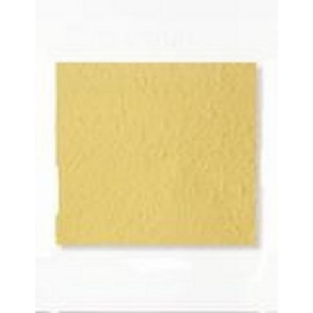 ---CARTA AVOHA 55X80 gr50 PAGLIERINO [0511251-00.jpg]