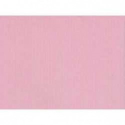 ---CARTA AVOHA 55X80 gr50 ROSA [0511284-00.jpg]