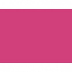 ---CARTA AVOHA 55X80 gr50 FUXIA [0511286-00.jpg]