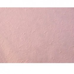 ---CARTA AVOHA 65X90 ROSA [0511584-00.jpg]