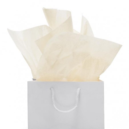 CARTA VELINA 50x70 gr21-24ff AVORIO [0520042-00.jpg]