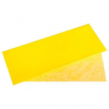 CARTA VELINA 50x70 gr21-24ff GIALLO [0520050-00.jpg]
