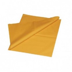 ---VELINAFIORI 50x70 ff26 GIALLOoroPBS [0520052-00.jpg]