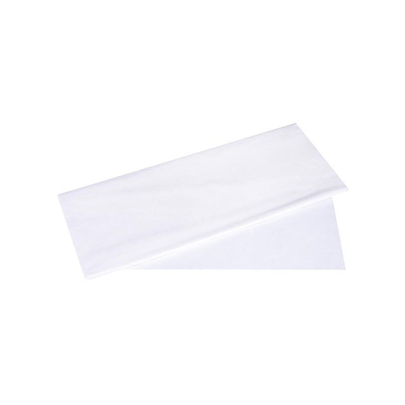 CARTA VELINA 50x70 gr21-24ff BIANCO [0520061-00.jpg]