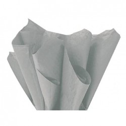 ---VELINAFIORI 50x70 ff26 GRIGIO 67 [0520062-00.jpg]