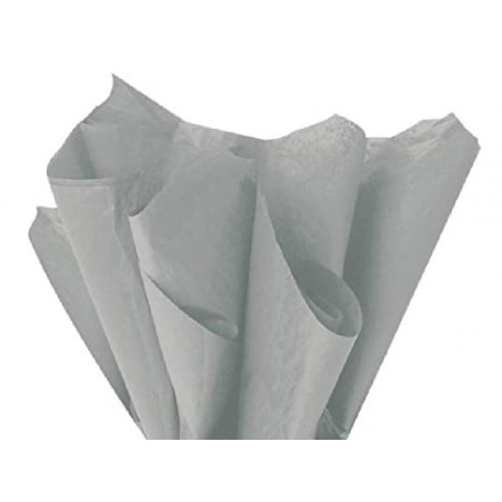 ---VELINAFIORI 50x70 ff26 GRIGIO 67 [0520062-00.jpg]