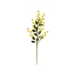3 RAMETTI MIMOSA 38cm [9020140-00.jpg]