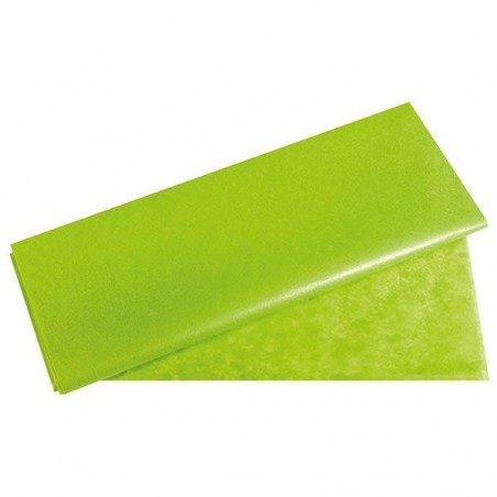 CARTA VELINA 50X70 gr21-24ff VERDEch [0520091-00.jpg]