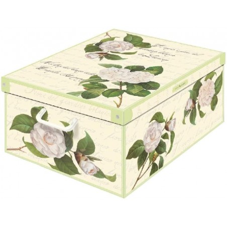 SCATOLA ARMADIO 39x50x24 CAMELIA [2658119-00.jpg]