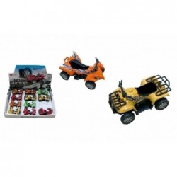 ---MINI QUAD 6x8 RETROCARICA [1003116-00.jpg]