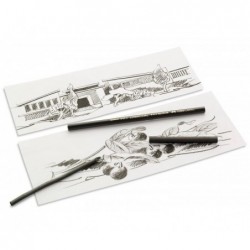 CARBONCINO NATURALE-FUSAGGINE 8pz [1035001-00.jpg]