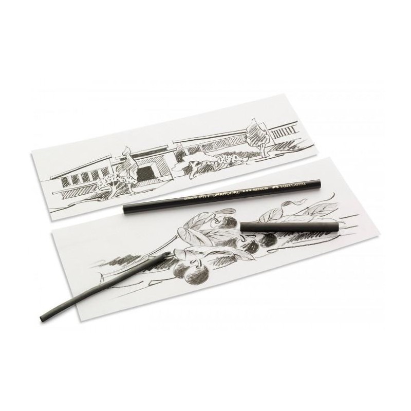 CARBONCINO NATURALE-FUSAGGINE 8pz [1035001-00.jpg]