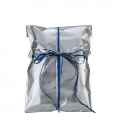 BUSTE PPL SOFT METAL 15x25-50pz-ARGENTO [2638363-00.jpg]