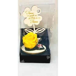 ---QUADRIFOGLIO legno 9X19 CON ROSA,FRAS E COCCINELLA .CONFEZIONE REGALO [0130513-10.jpg]