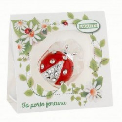 ESPOSITORE 12 COCCINELLE STRASS 12sogg [0130206-20.jpg]