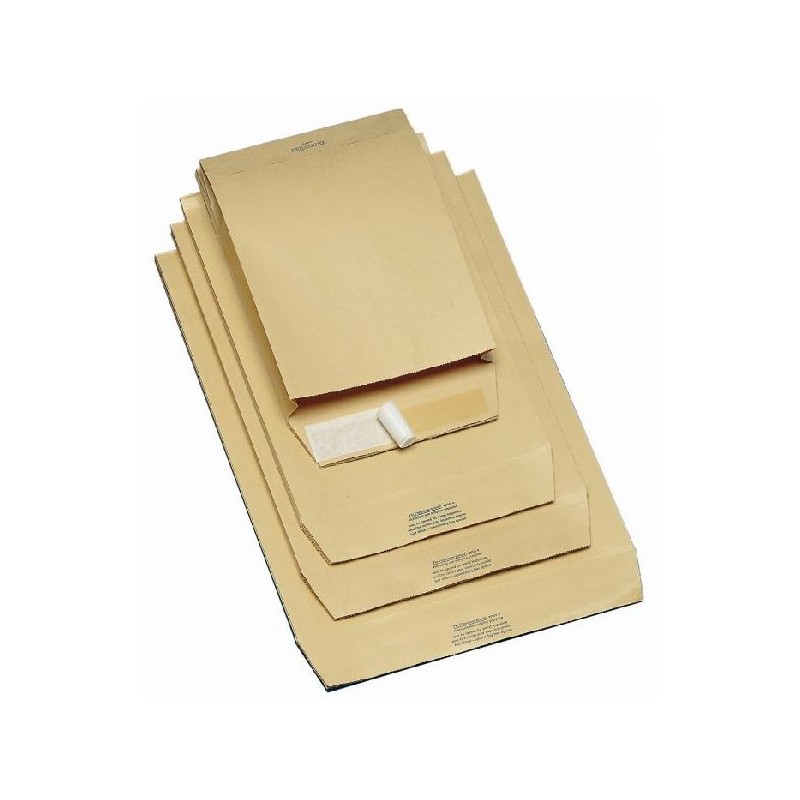 BUSTE SACCO AVANASTRIP 19X26-250pz [2110019-00.jpg]