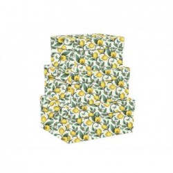 SET 3 SCATOLE RETTANGOLARI LIMONI [2223043-00.jpg]