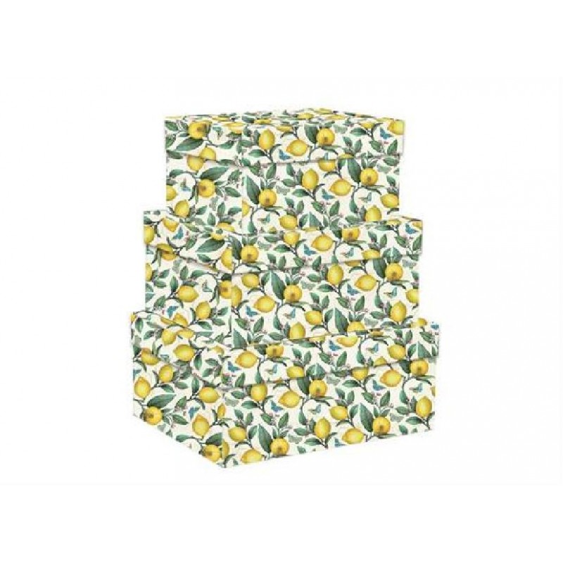 SET 3 SCATOLE RETTANGOLARI LIMONI [2223043-00.jpg]