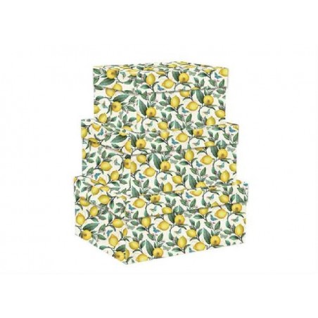 SET 3 SCATOLE RETTANGOLARI LIMONI [2223043-00.jpg]