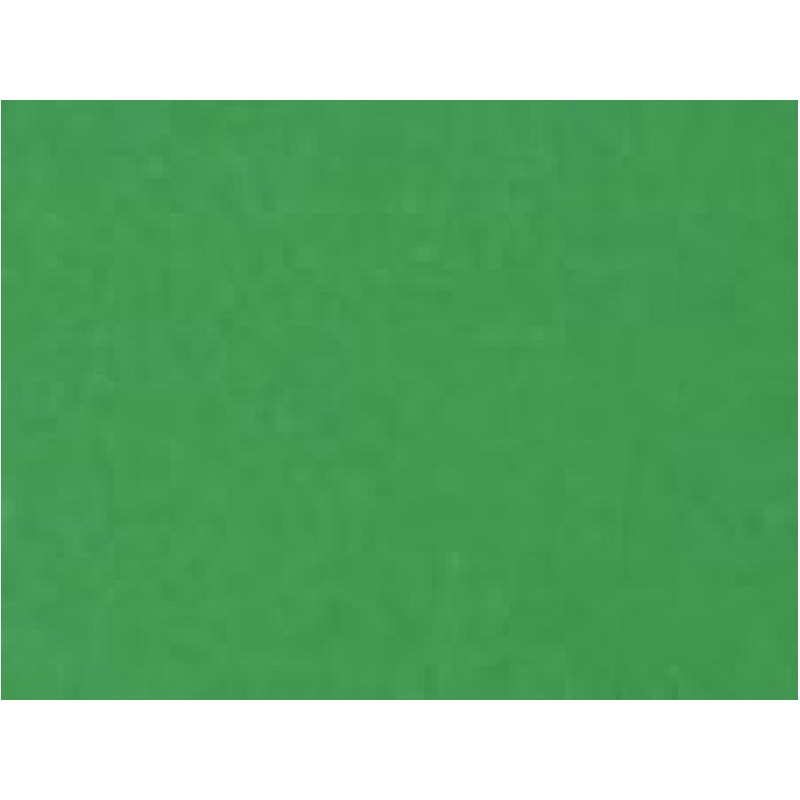 BRISTOL ELLEERRE 70x100 VERDE [2512290-00.jpg]
