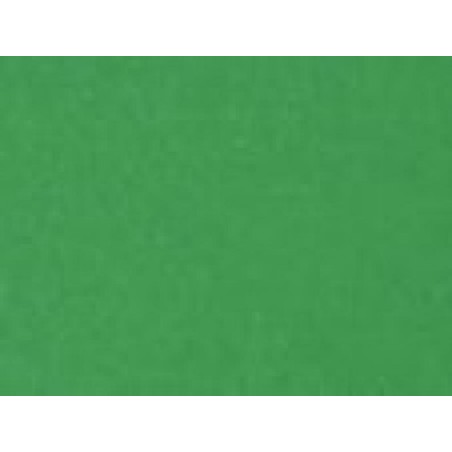 BRISTOL ELLEERRE 70x100 VERDE [2512290-00.jpg]