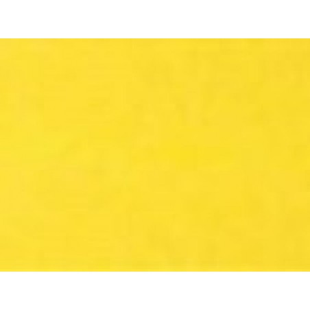 BRISTOL g200-50x70 GIALLO VIVO [2513150-00.jpg]