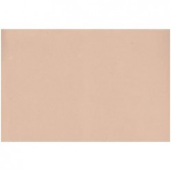 EVA FOAM 40x60mm2 ff10 ROSA CARNE 171 [2514383-00.jpg]