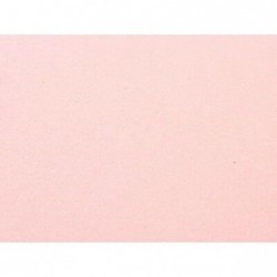 EVA FOAM 40x60mm2 ff10 ROSA CARNE 170 [2514385-00.jpg]