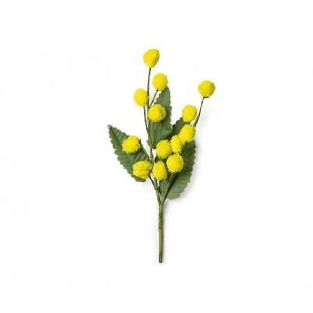 RAMETTO MIMOSA  19cm [2619002-00.jpg]