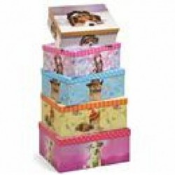 ---SET 4 SCATOLE rettang. NEON [2650019-00.jpg]